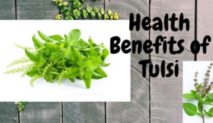 Tulsi benefits