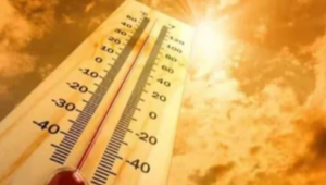 Mumbai Weather and AQI Update: January 28, 2025