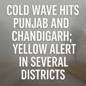 Foggy road scene in Punjab showing cold weather conditions with text announcing a yellow alert for multiple districts.