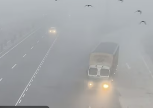 Dense fog on Punjab roads as IMD issues red alert for cold wave in North India
